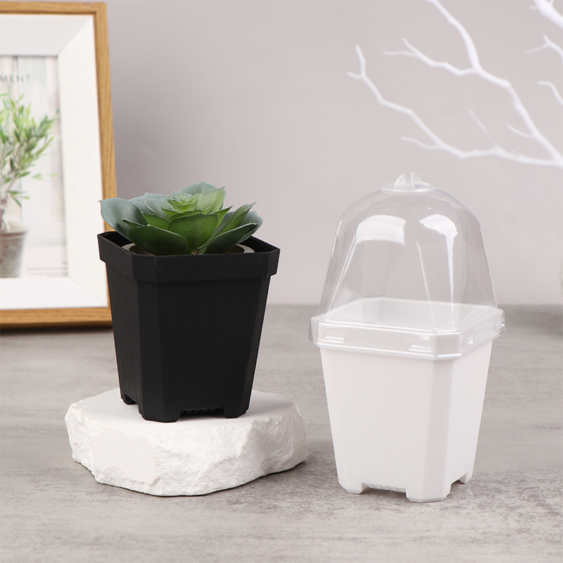 5 Stück quadratischer kleiner  – Smart Garden Domes Bewertung und Preis