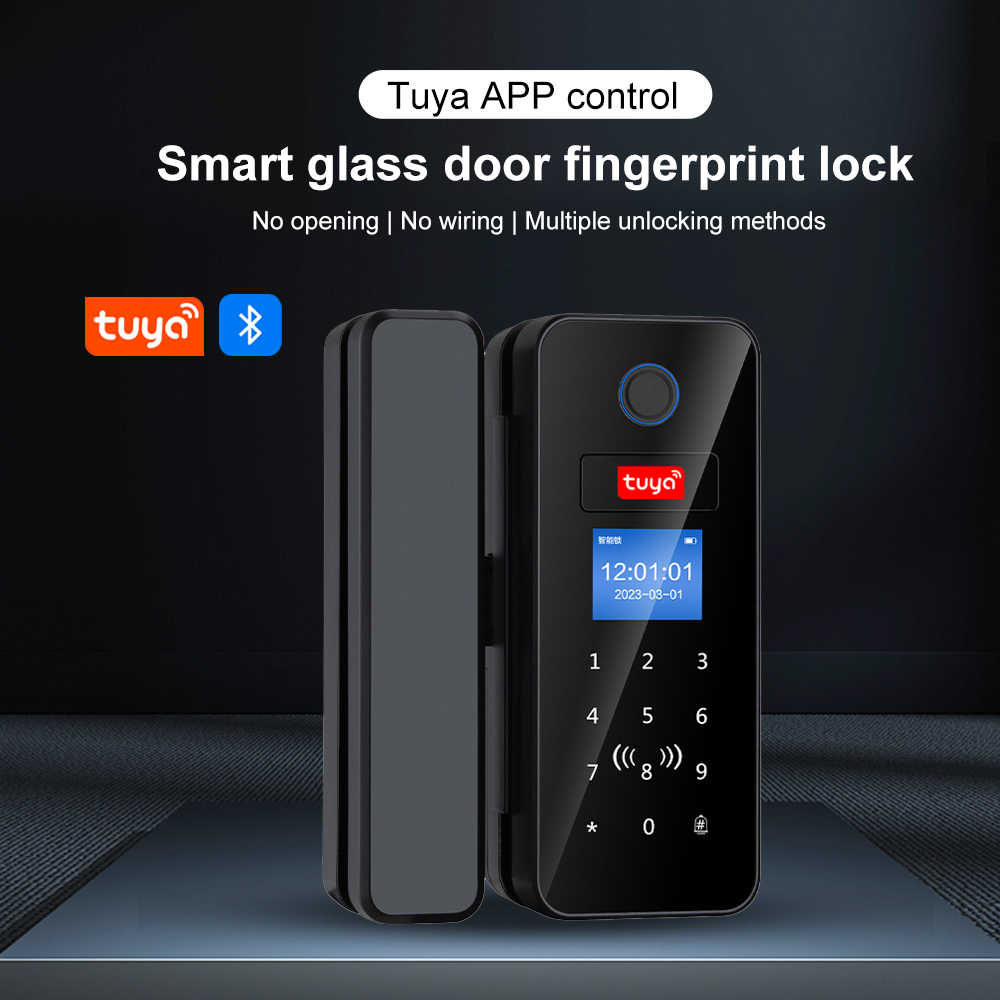 Doppel Haken Smart Glas Türsch – Smart Garden Gate Lock Bewertung und Preis