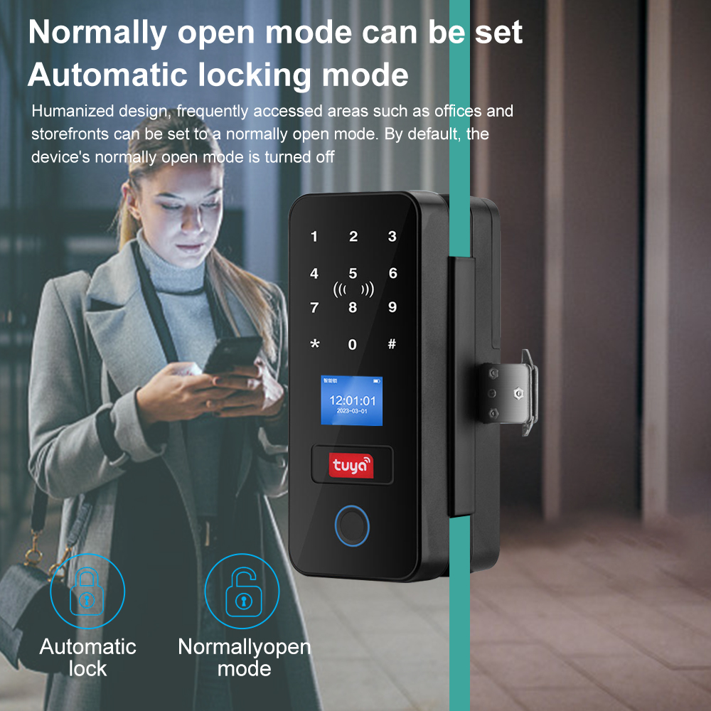 Doppel Haken Smart Glas Türsch – Smart Garden Gate Lock Bewertung und Preis