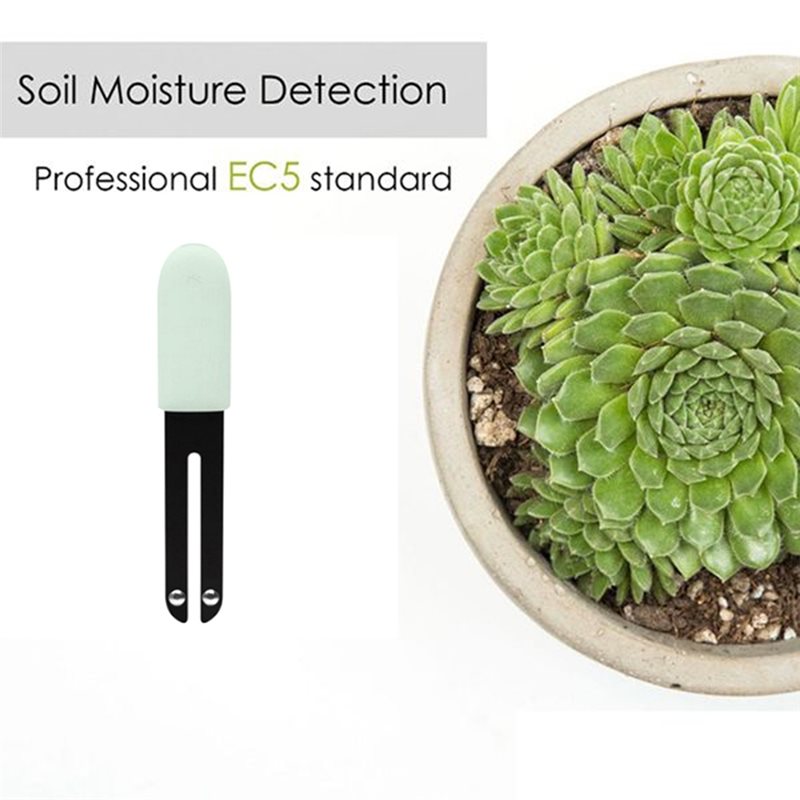 A36T-Gartenpflanzenpflege-Blum – Smart Garden Test Bewertung und Preis