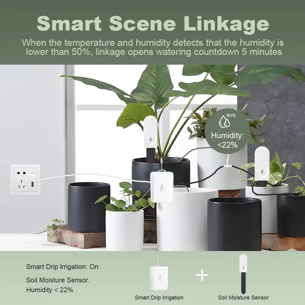 Intelligenter Zigbee-Bodenfeuc – Smart Garden Domes Bewertung und Preis