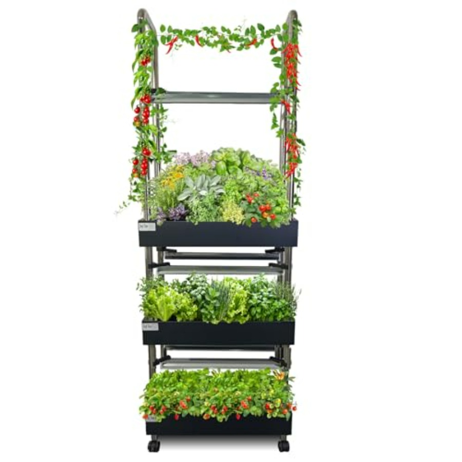 Indoor-Hydrokultur-Anbausystem – Smart Garden System Bewertung und Preis