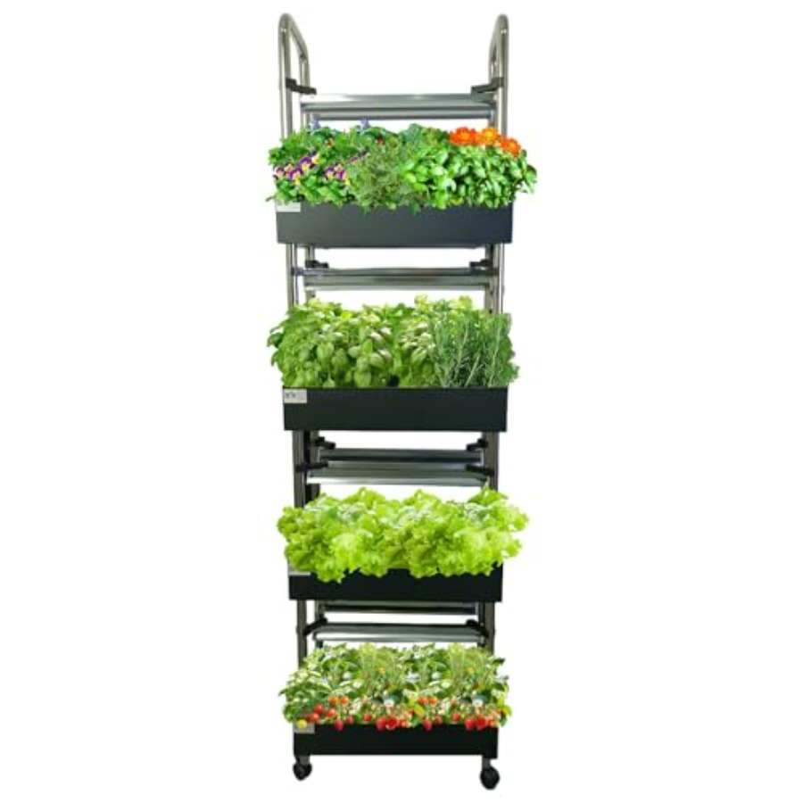 Indoor-Hydrokultur-Anbausystem – Smart Garden System Bewertung und Preis