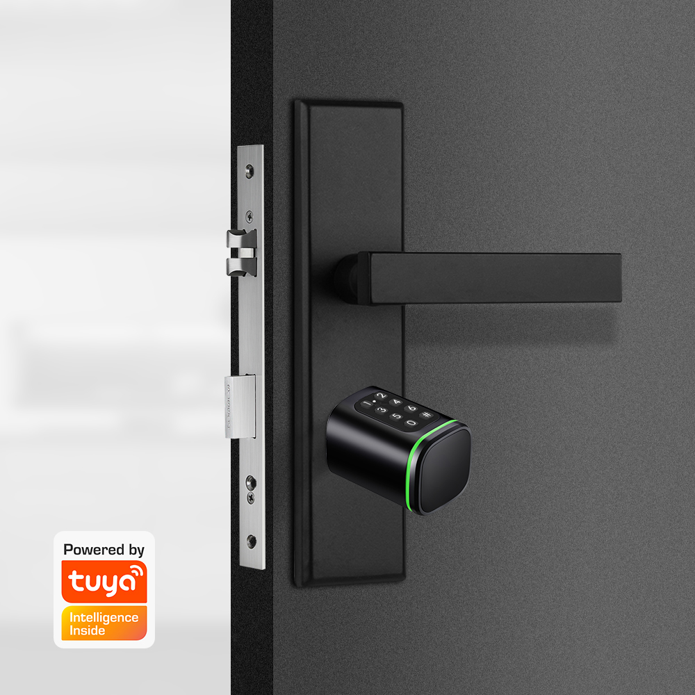 Smart Zylinder Schloss Tuya 60 – Smart Garden Gate Lock Bewertung und Preis